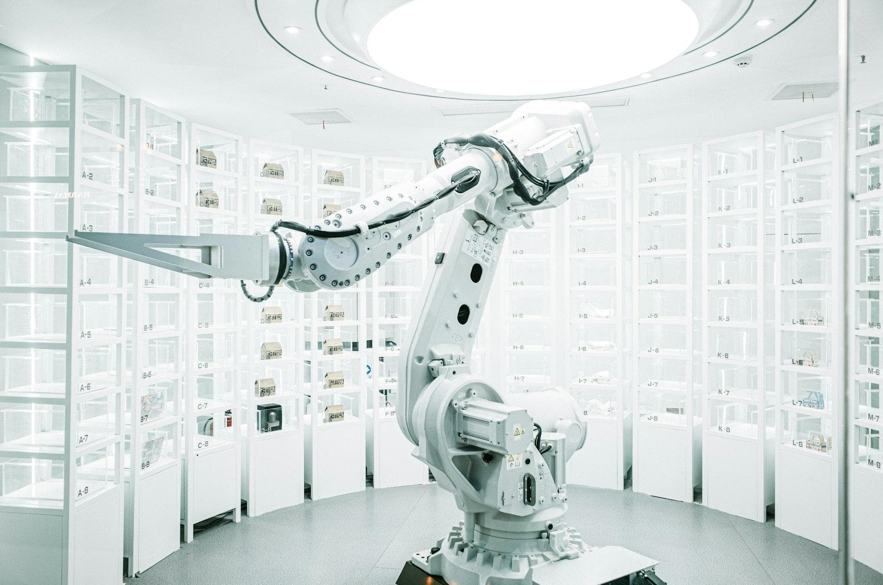The Future of Web Development and the Power of AI in 2024 and Beyond